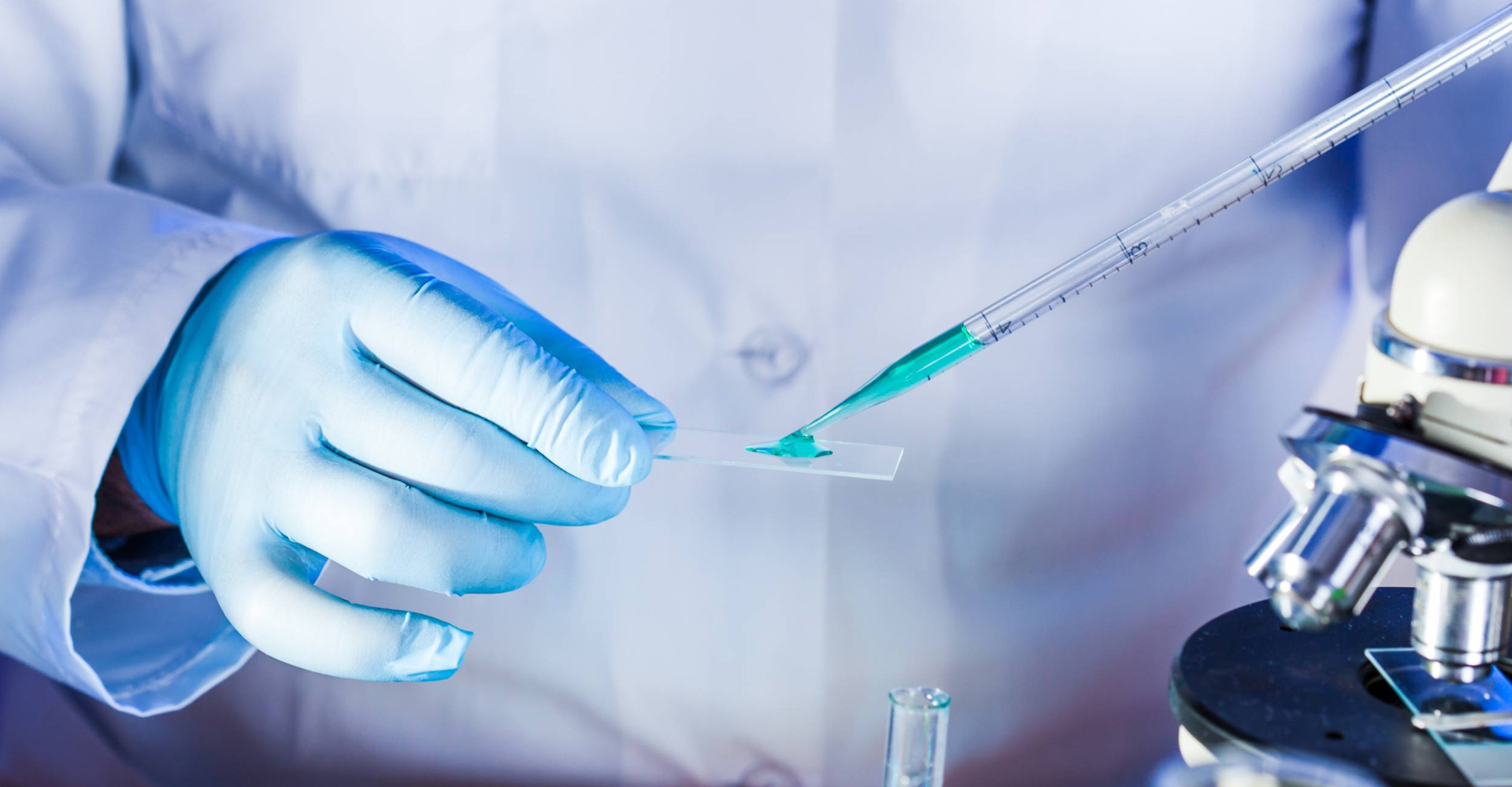 湖北金陸神門(mén)業(yè)有限公司